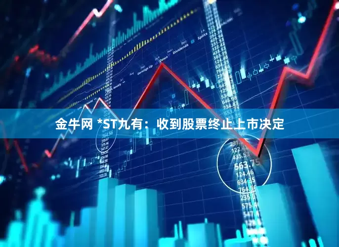 金牛网 *ST九有：收到股票终止上市决定