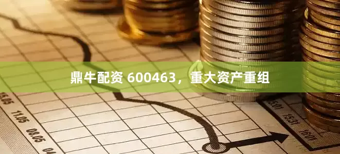 鼎牛配资 600463，重大资产重组