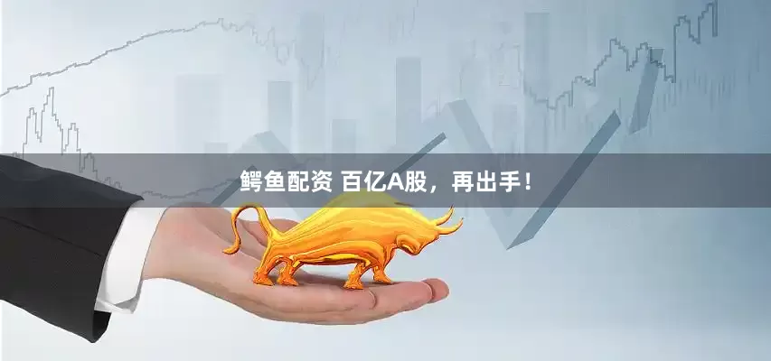 鳄鱼配资 百亿A股，再出手！