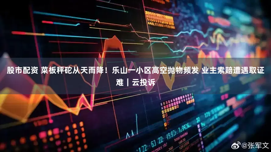 股市配资 菜板秤砣从天而降！乐山一小区高空抛物频发 业主索赔遭遇取证难｜云投诉