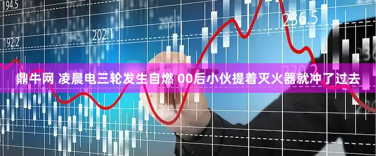 鼎牛网 凌晨电三轮发生自燃 00后小伙提着灭火器就冲了过去