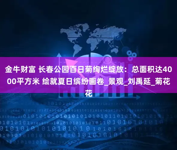 金牛财富 长春公园百日菊绚烂绽放：总面积达4000平方米 绘就夏日缤纷画卷_景观_刘禹延_菊花