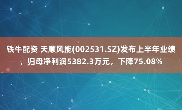 铁牛配资 天顺风能(002531.SZ)发布上半年业绩，归母净利润5382.3万元，下降75.08%