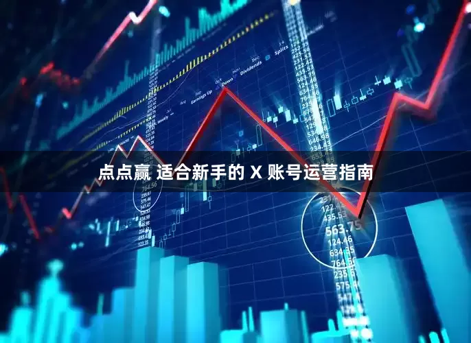 点点赢 适合新手的 X 账号运营指南