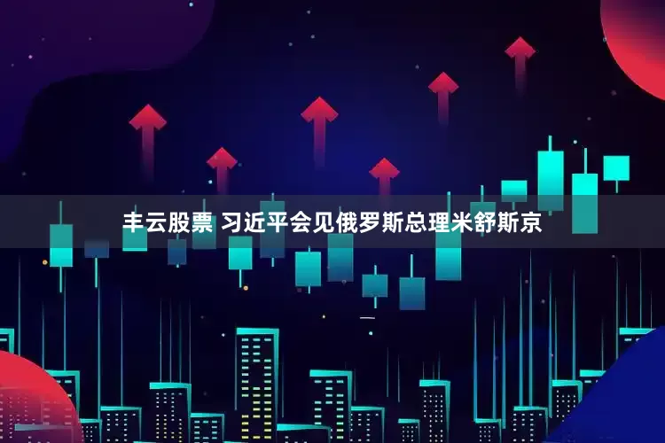 丰云股票 习近平会见俄罗斯总理米舒斯京