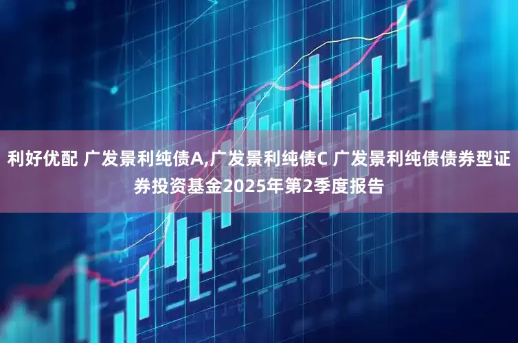 利好优配 广发景利纯债A,广发景利纯债C 广发景利纯债债券型证券投资基金2025年第2季度报告